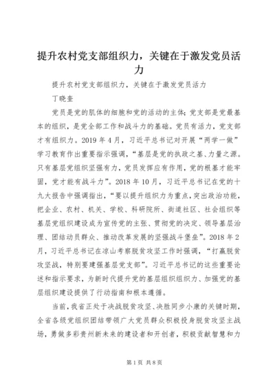 提升农村党支部组织力，关键在于激发党员活力 (2).docx