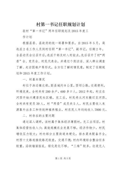 村第一书记任职规划计划 (4).docx