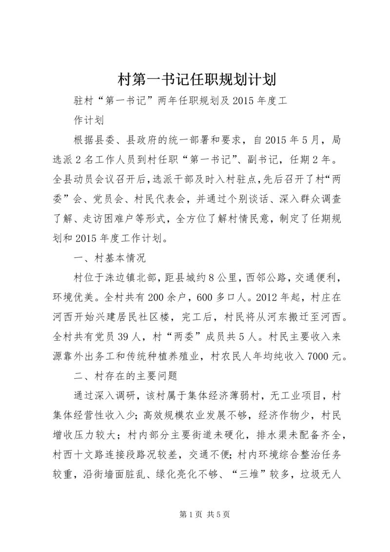 村第一书记任职规划计划 (4).docx