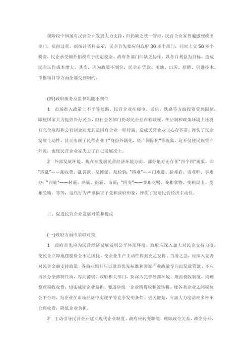 民营企业发展中存在的问题与对策研究应用.docx