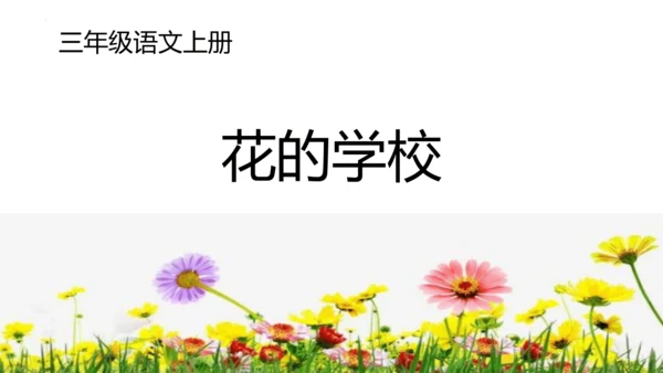 2《花的学校》   课件