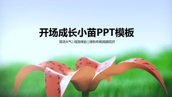 开场视频片头小苗生长发芽开花ppt模板