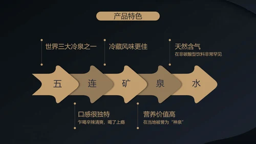 高端融资产品PPT计划书