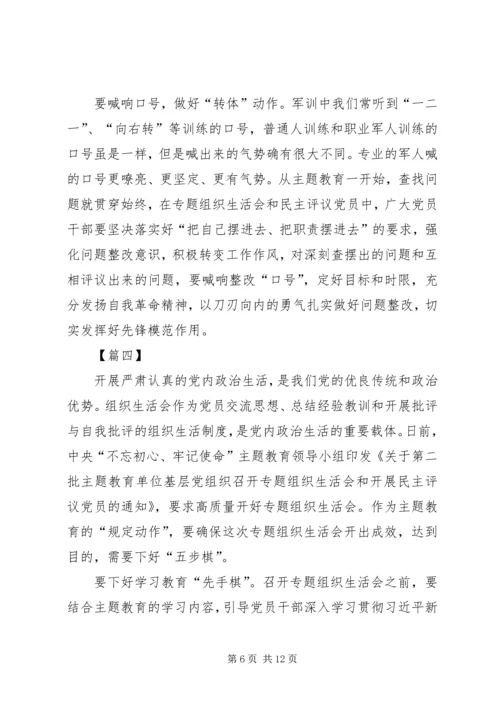 关于如何开好第二批主题教育组织生活会的网评五篇.docx