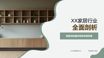 XX家居行业全面剖析