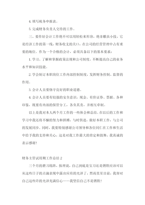 财务主管试用期工作总结.docx