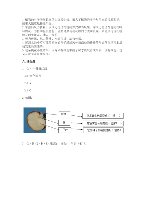 教科版科学四年级下册第一单元《植物的生长变化》测试卷【b卷】.docx