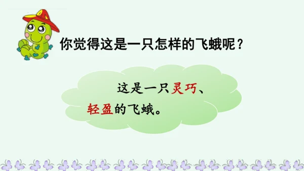 22小毛虫  课件