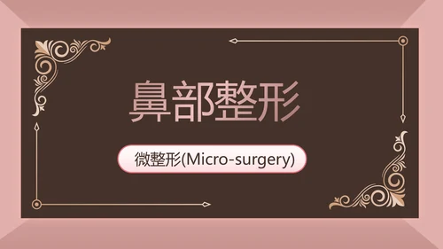 微整形项目介绍工作总结汇报动态PPT