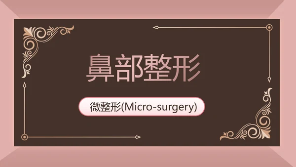 微整形项目介绍工作总结汇报动态PPT