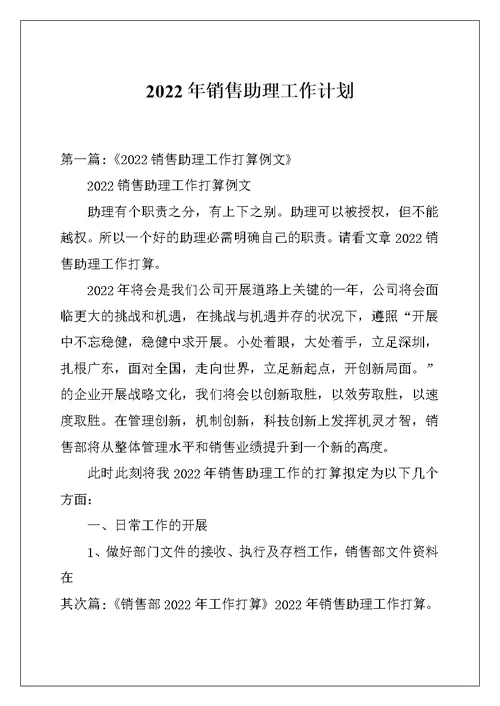 2022年销售助理工作计划