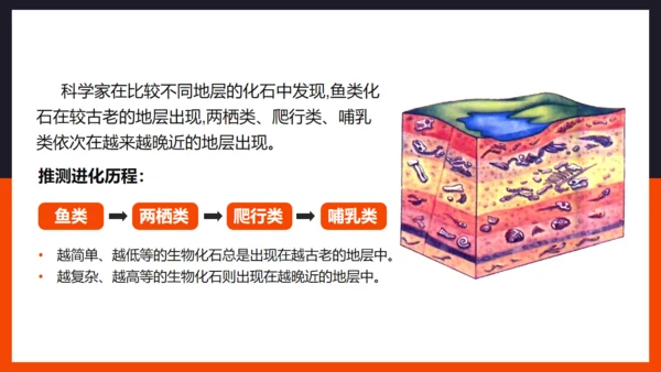 生命起源和生物进化企鹅通用PPT模板