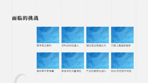 医药行业销售述职报告通用PPT模板