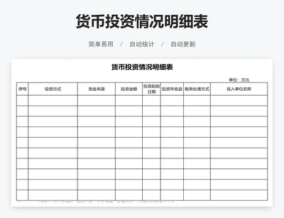 货币投资情况明细表