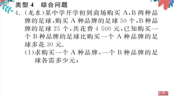 人教版数学7下 专题训练（五）  一元一次不等式组的应用 习题课件（含答案）
