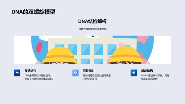 DNA结构与功能PPT模板