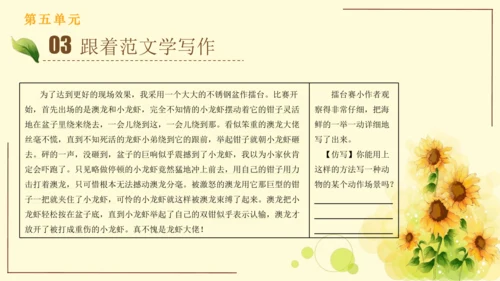 统编版语文四年级上册2024-2025学年度第五单元习作： 生活万花筒（课件）