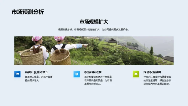 公司年度绩效回顾