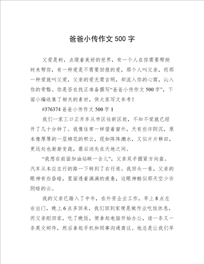 爸爸小传作文500字