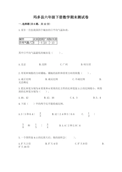 玛多县六年级下册数学期末测试卷精选答案.docx