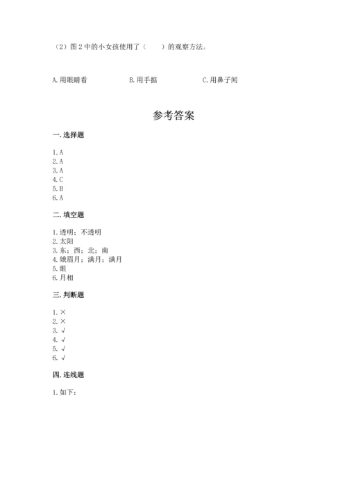 教科版科学二年级上册《期末测试卷》含完整答案（考点梳理）.docx