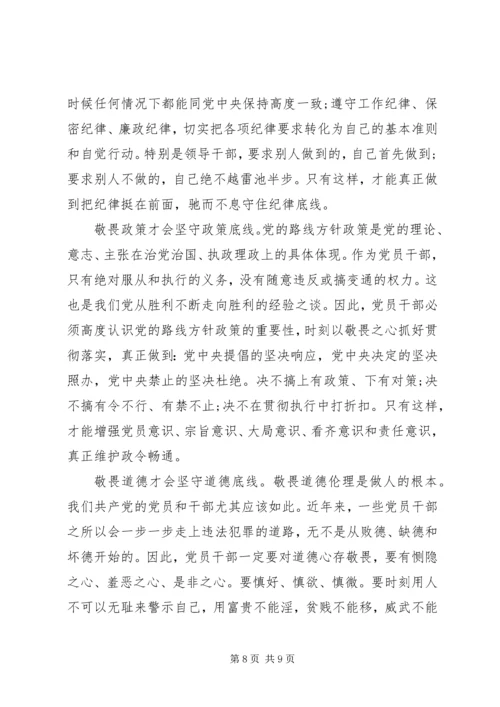 坚守纪律底线树立清风正气优秀发言稿范文.docx