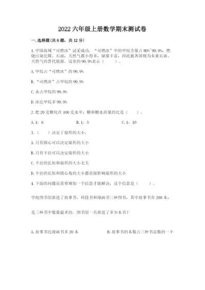 2022六年级上册数学期末测试卷含完整答案【名师系列】.docx
