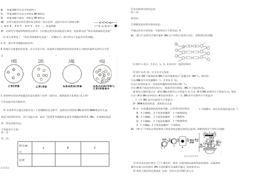 基因的本质和基因的表达测试题