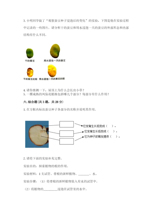 科学四年级下册第一单元植物的生长变化测试卷【a卷】.docx