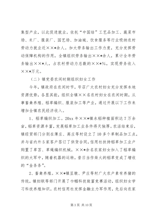 乡镇政府工作总结范文.docx