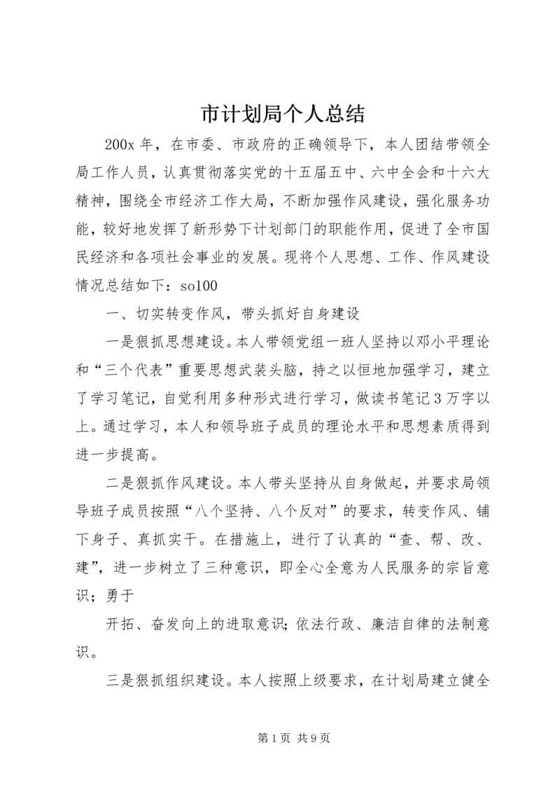 市计划局个人总结 (3).docx