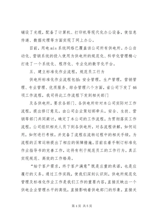 供电所规范化管理总结总结.docx