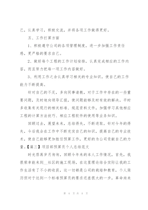 项目部预算员个人总结范文.docx