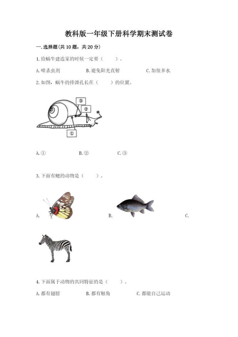 教科版一年级下册科学期末测试卷及答案【夺冠】.docx