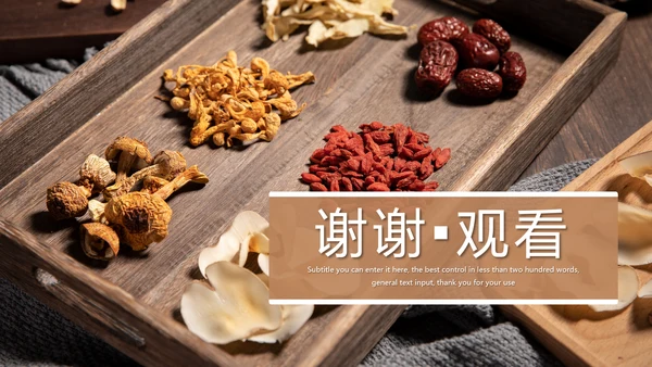 传统中国风养生食疗药膳食补PPT模板