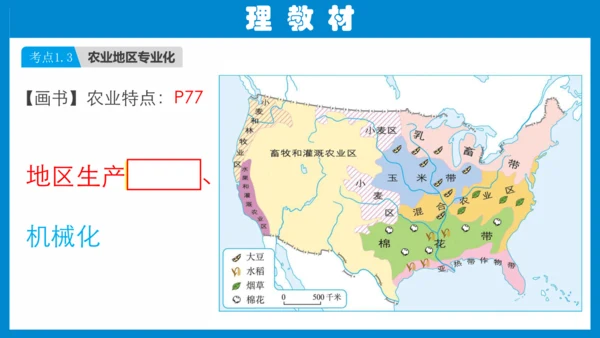 七下：美国、巴西（一轮复习课件30张） （人教版）