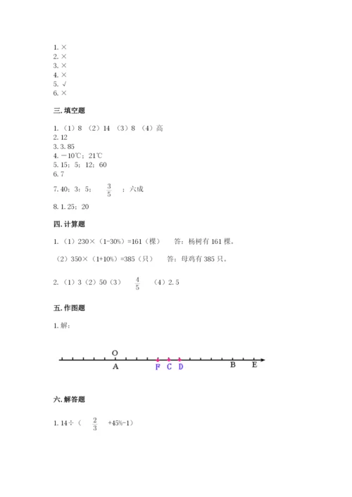 嫩江县六年级下册数学期末测试卷及一套完整答案.docx