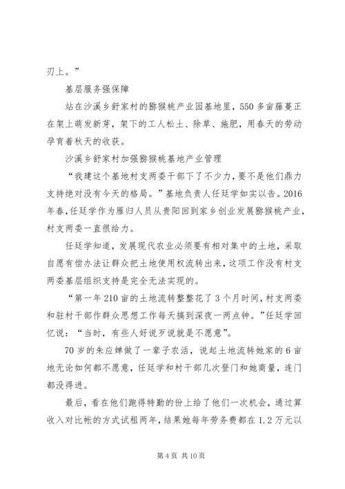 决战脱贫攻坚推进产业革命典型事迹.docx