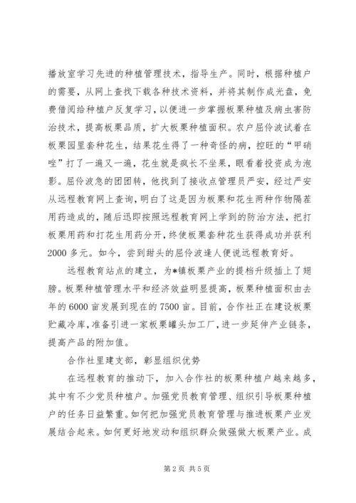 党支部远程教育新模式.docx