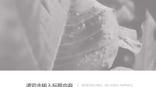 黑色简约行业分析模版PPT模板