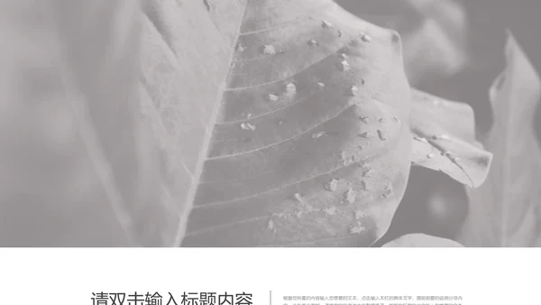 黑色简约行业分析模版PPT模板