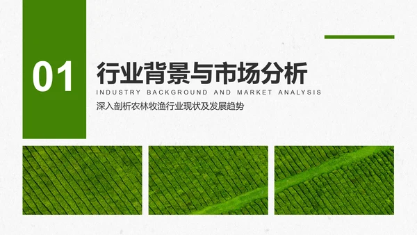 绿色商务风智慧农业创业计划书PPT模板