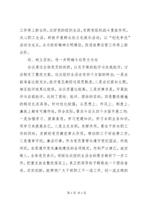 分公司党支部组织生活会总结报告.docx