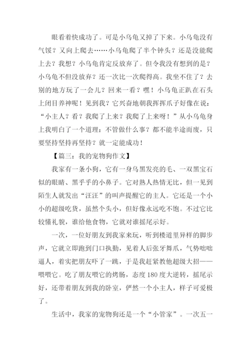 写小动物的作文500字.docx