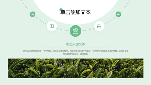 绿色极简品牌介绍通用PPT演示模板