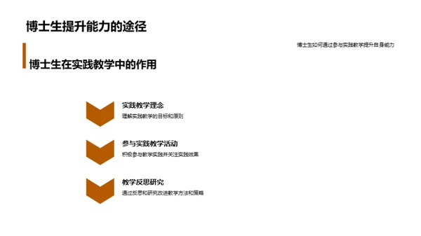 实践教学的理论与实践