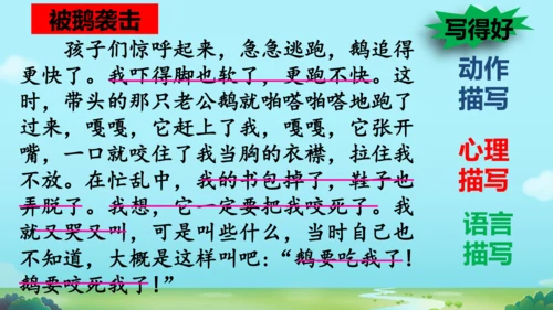 18 牛和鹅   课件