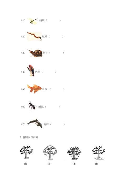 教科版二年级上册科学期末考试试卷（夺分金卷）.docx