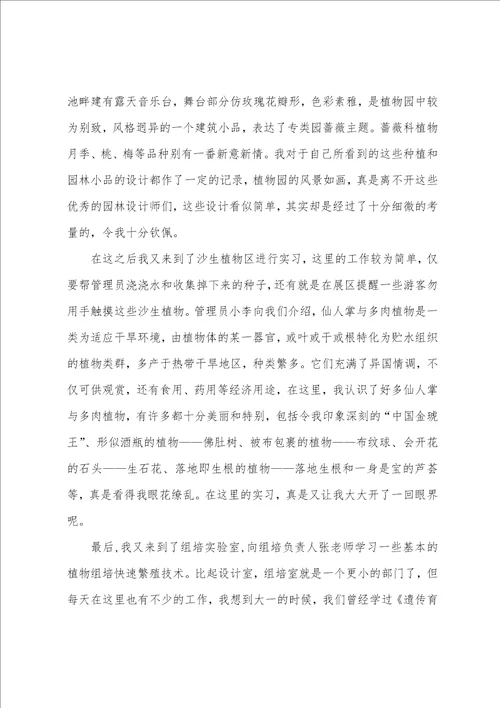 厦门实习总结