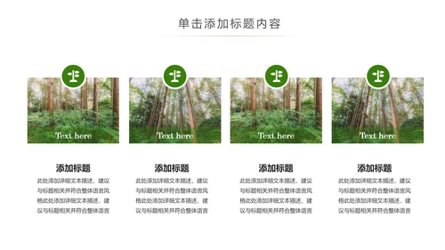 原始森林湿地植树造林森林环保PPT模板
